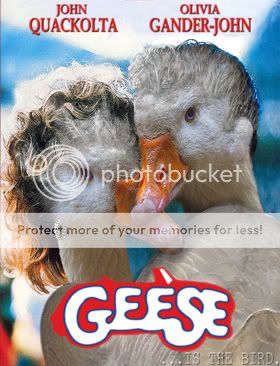 Geese4.jpg
